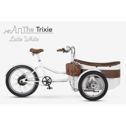 Vélo Cargo Rayvolt Trixie