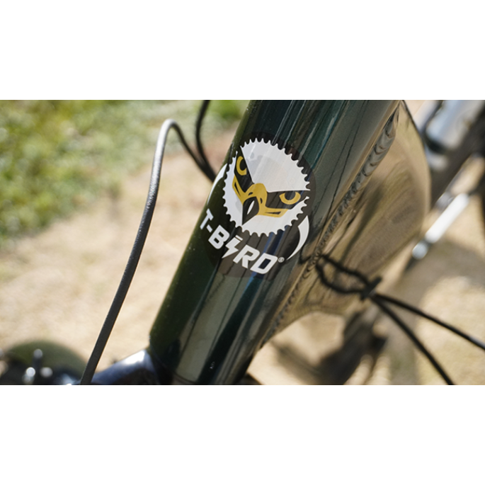 VTC électrique tbird Carmel s femme| Velonline