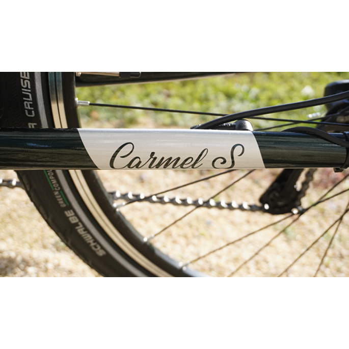 VTC électrique tbird Carmel s femme| Velonline