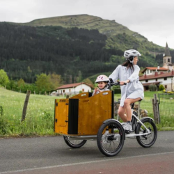 Vélo Cargo électrique 20 pouces - Velonline