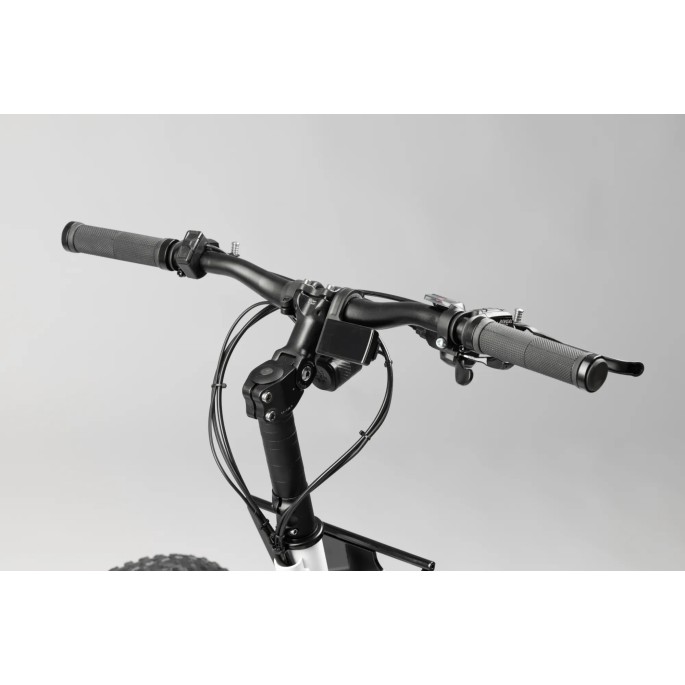 Tricycle électrique 2 roues avant  Etnnic Fat 3.0