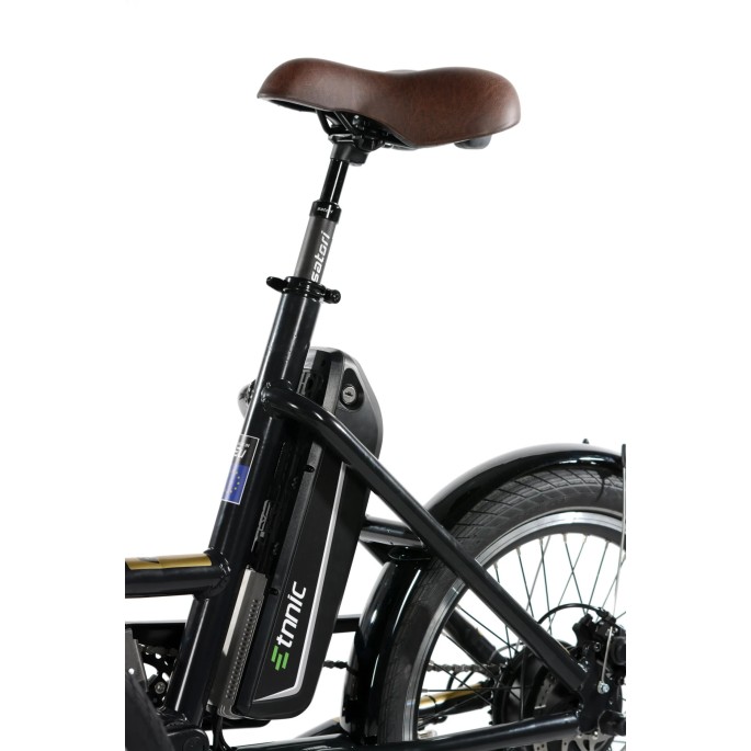 Tricycle électrique City 2.0