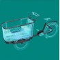 Velo cargo CANGOO BUCKLE UP