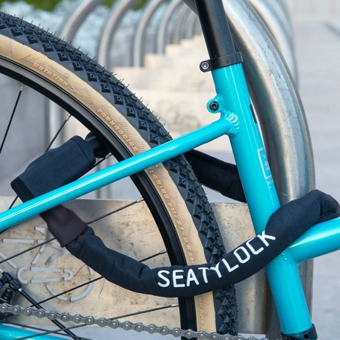 Antivol Chaine Seatylock Viking Silver