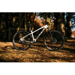Prim S2 - Sunn VTT Carbone