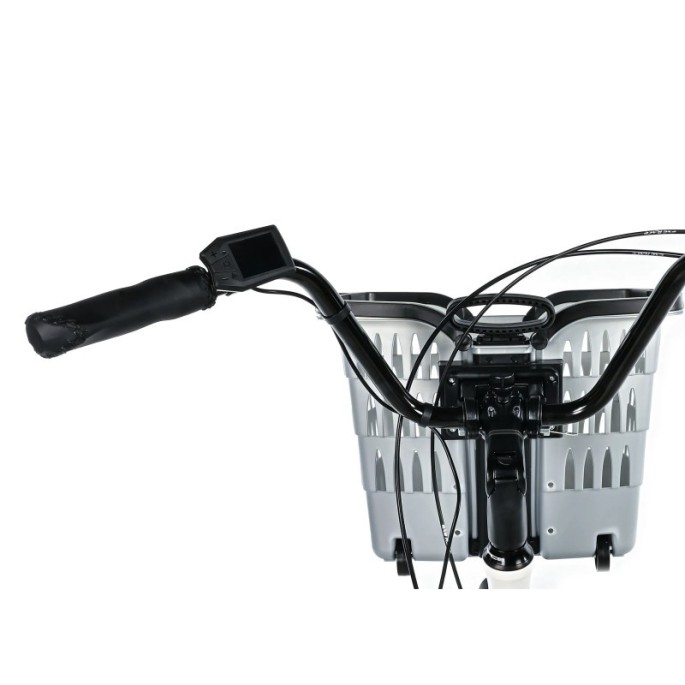 tricycle Electrique adulte leaderfox bormio