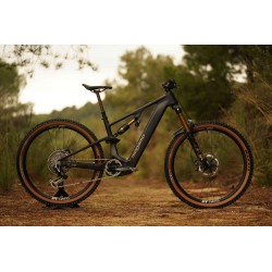 Megamo Flame CRB 03  2026