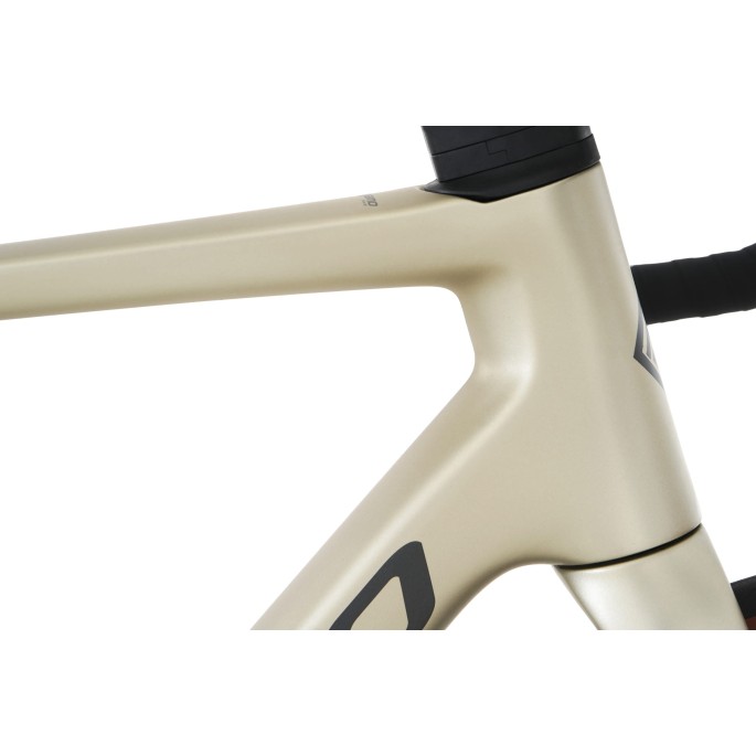 Megamo RAISE   - 2026