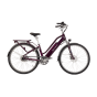 Vélo électrique Starway Grand Touring