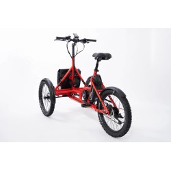 Tricycle electrique adulte 2 roues avant Etnnic City 2.0