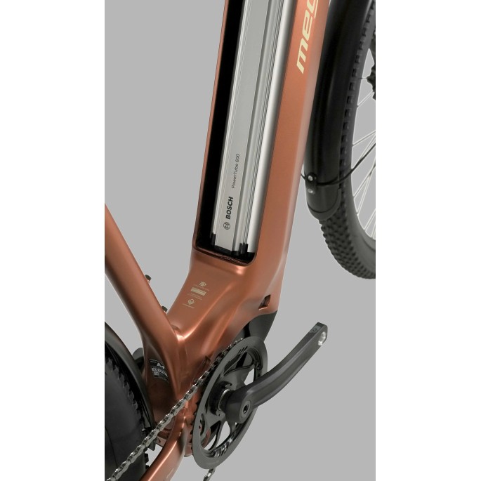 Megamo Reach low 05 Equipé