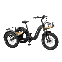 tricycle Electrique adulte Mover T2 - Revom