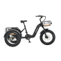 tricycle Electrique adulte Mover T2 - Revom