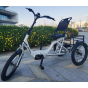 tricycle Electrique adulte Mover T4 - Revom