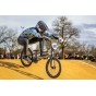 Royal Factory - BMX Race Sunn