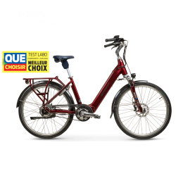 Vélo électrique Starway Urban ll GT