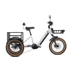 Tricycle électrique Lombardo Treviso Bosch CX Cargo 100Nm 800Wh