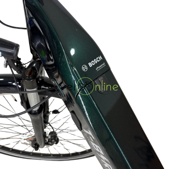 VTC électrique tbird Carmel s femme| Velonline