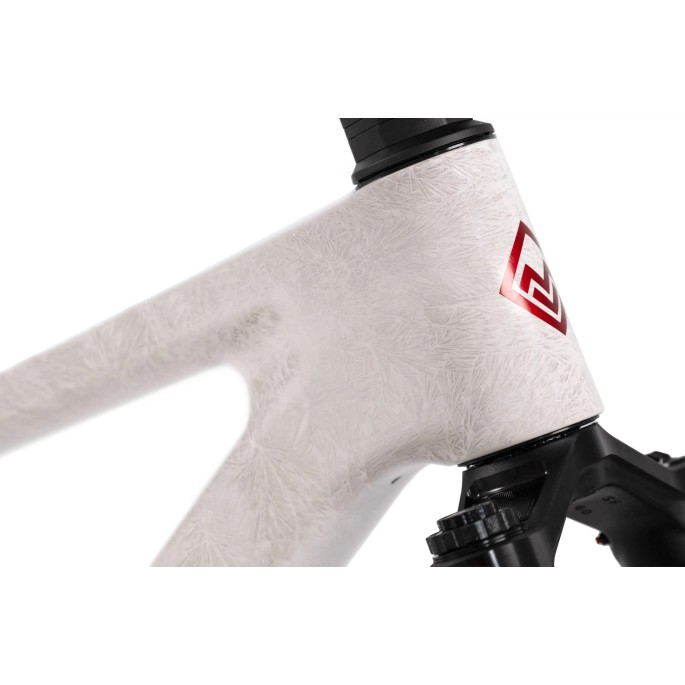 Megamo Reason  CRB 02 2027 - DJI Avinox M2S-150Nm