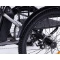 Damius Essentiel - Tricycle électrique adulte | Velonline