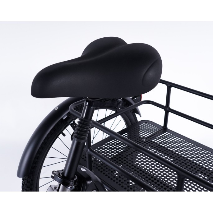 Damius Essentiel - Tricycle électrique adulte | Velonline