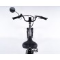 Damius Essentiel - Tricycle électrique adulte | Velonline