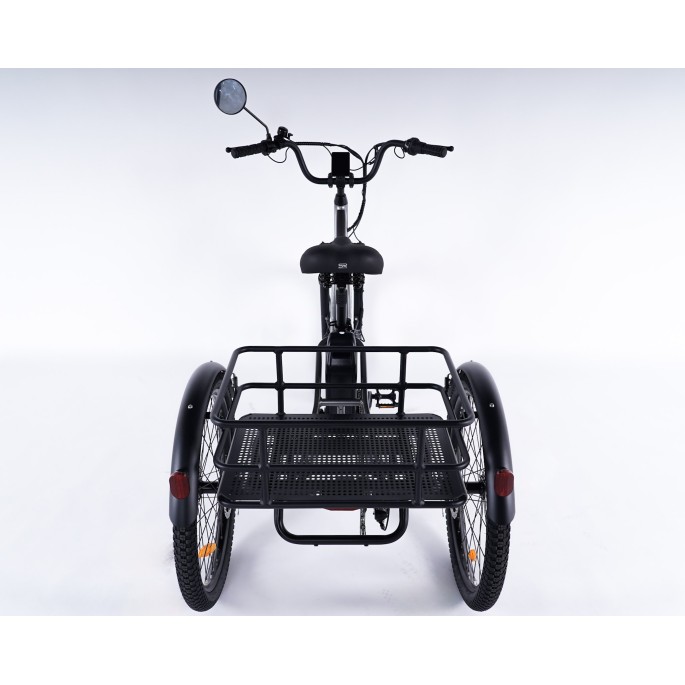 Damius Essentiel - Tricycle électrique adulte | Velonline