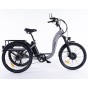 Damius Essentiel - Tricycle électrique adulte | Velonline