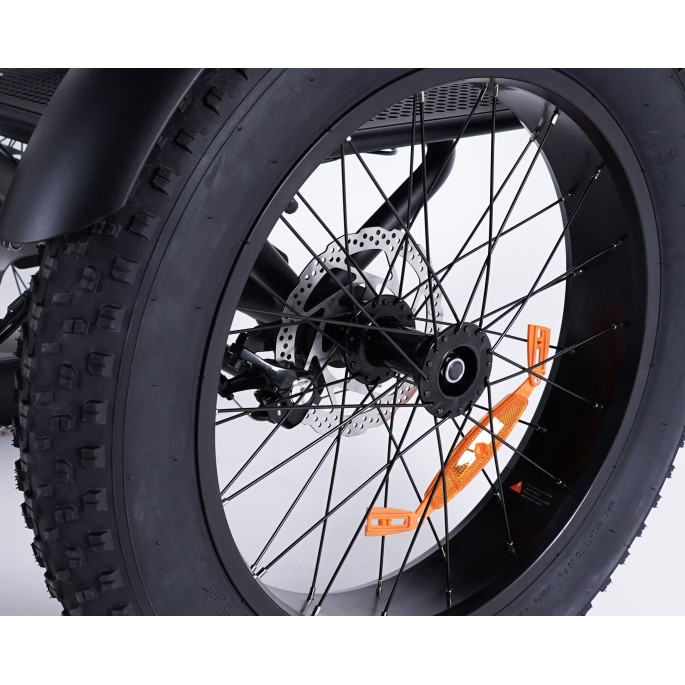 Damius Essentiel FatBike - Tricycle électrique | Velonline