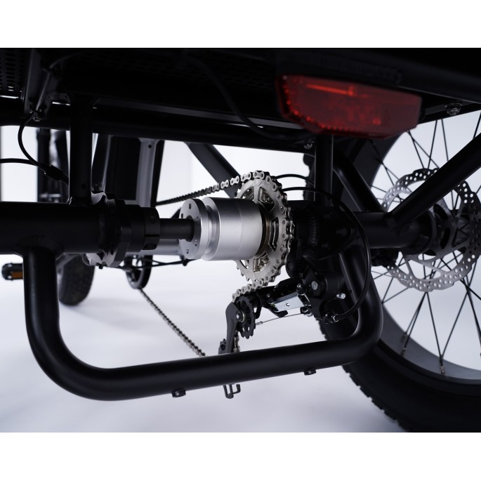 Damius Essentiel FatBike - Tricycle électrique | Velonline