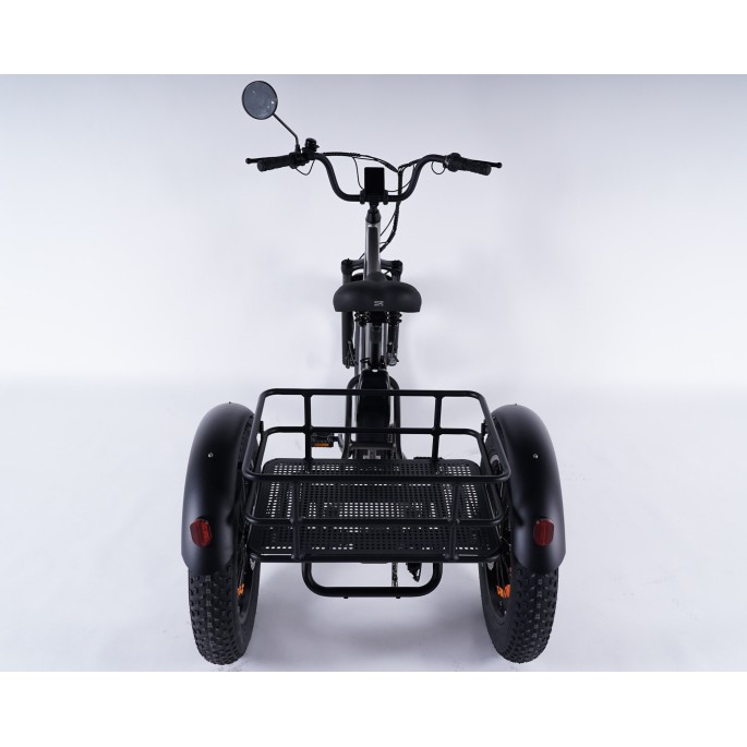 Damius Essentiel FatBike - Tricycle électrique | Velonline