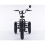 Damius Essentiel FatBike - Tricycle électrique | Velonline