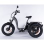 Damius Essentiel FatBike - Tricycle électrique | Velonline
