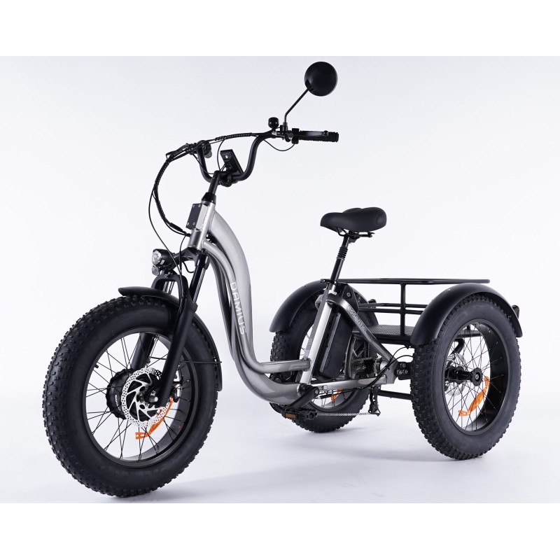 Damius Essentiel FatBike - Tricycle électrique | Velonline