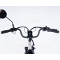 Damius Evasion - Tricycle électrique adulte | Velonline