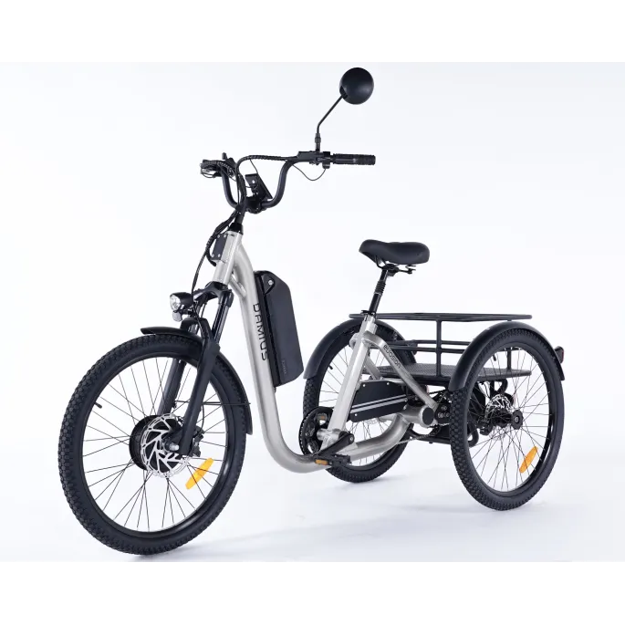 Damius Evasion - Tricycle électrique adulte | Velonline