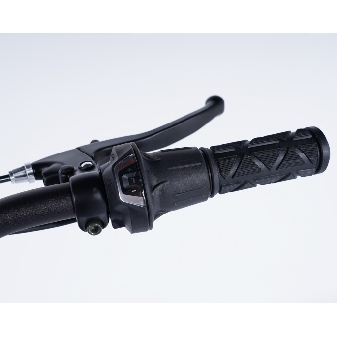 Damius Essentiel Musculaire - Tricycle adulte | Velonline