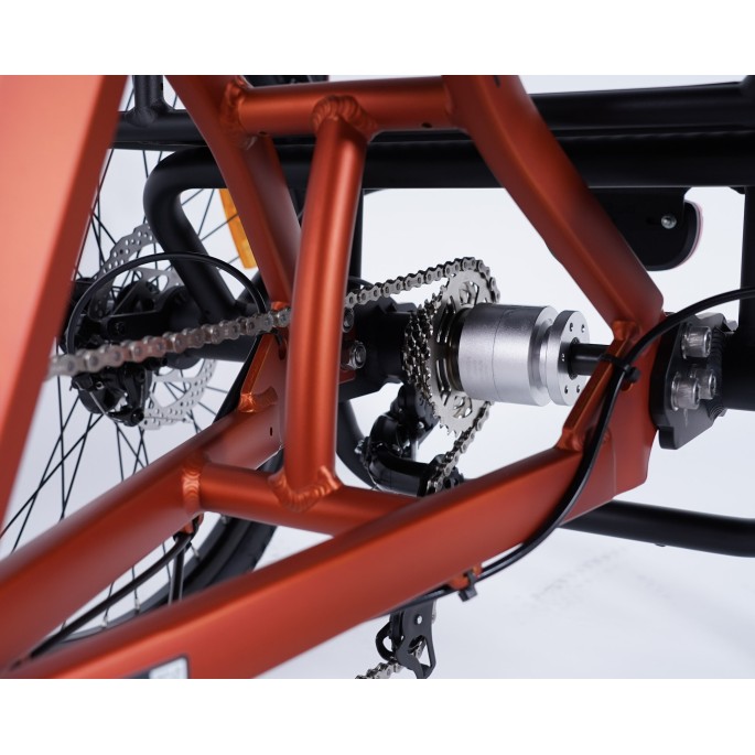 Damius Essentiel Musculaire - Tricycle adulte | Velonline