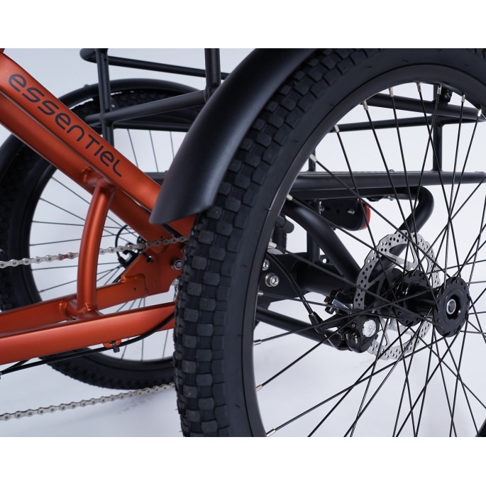 Damius Essentiel Musculaire - Tricycle adulte | Velonline