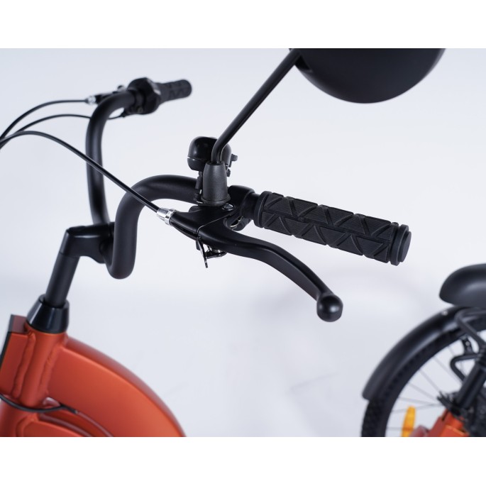 Damius Essentiel Musculaire - Tricycle adulte | Velonline