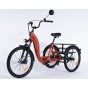 Damius Essentiel Musculaire - Tricycle adulte | Velonline