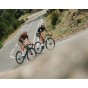 Megamo Pulse 15 2027 - Vélo Route Carbone Shimano 105 Di2 | Velonline