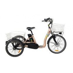 Tricycle adulte électrique Cyclo2 comfort 26 TH - Velonline